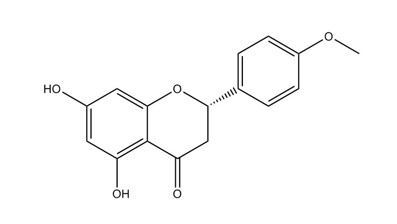 異櫻花亭|480-43-3